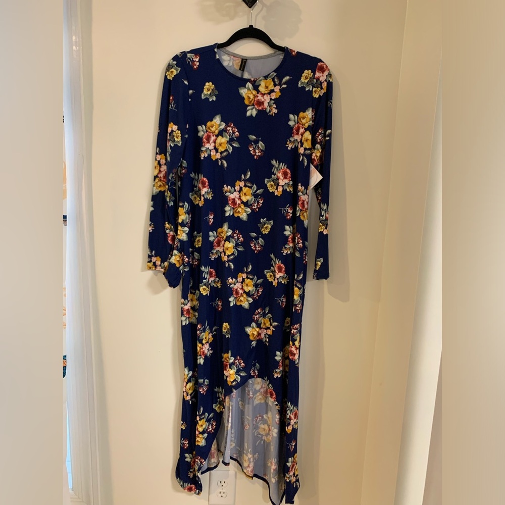 Casalee Blue Floral HiLo dress